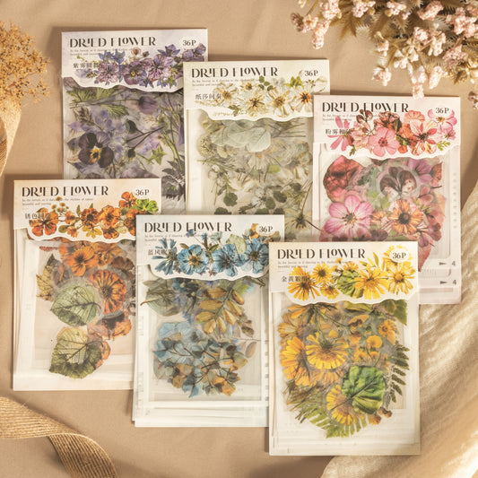 [2603-123] Frame Collage PET Sticker Pack 6 Styles