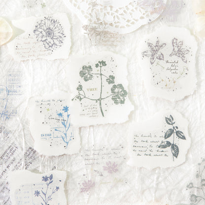 [2601-190] Vintage Herbarium PET Stickers