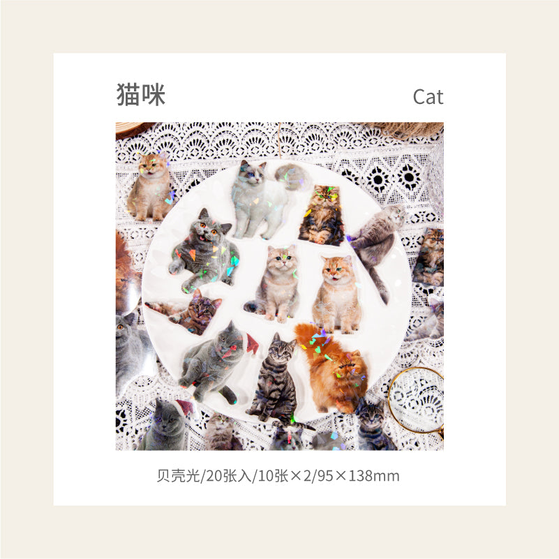 [2601-146] Iridescent Animal PET Stickers – Holographic Shell Light Collage Set (6 Designs)