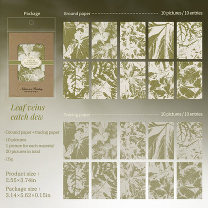 [2601-136] Botanical Texture Paper – Nature Collage Journaling Backgrounds (6 Designs)