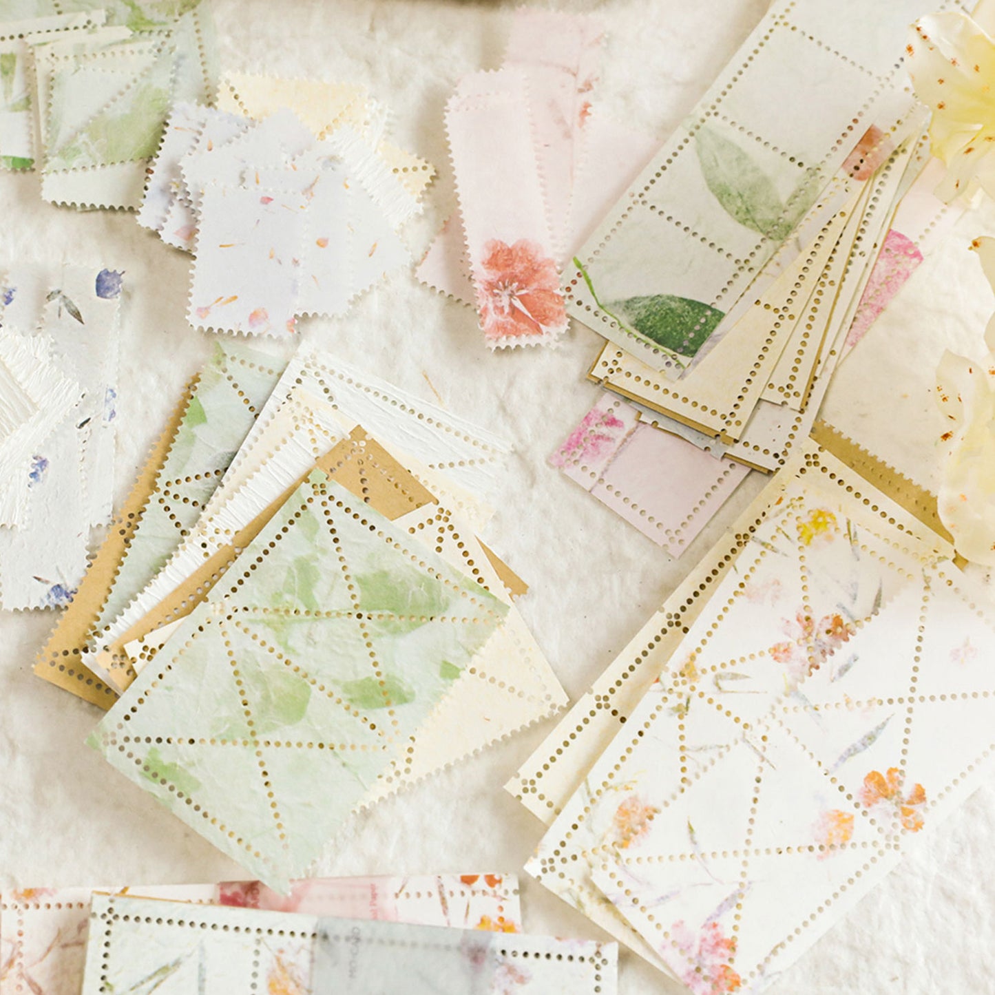 [2601-209] Vintage Botanical Journal Paper Set