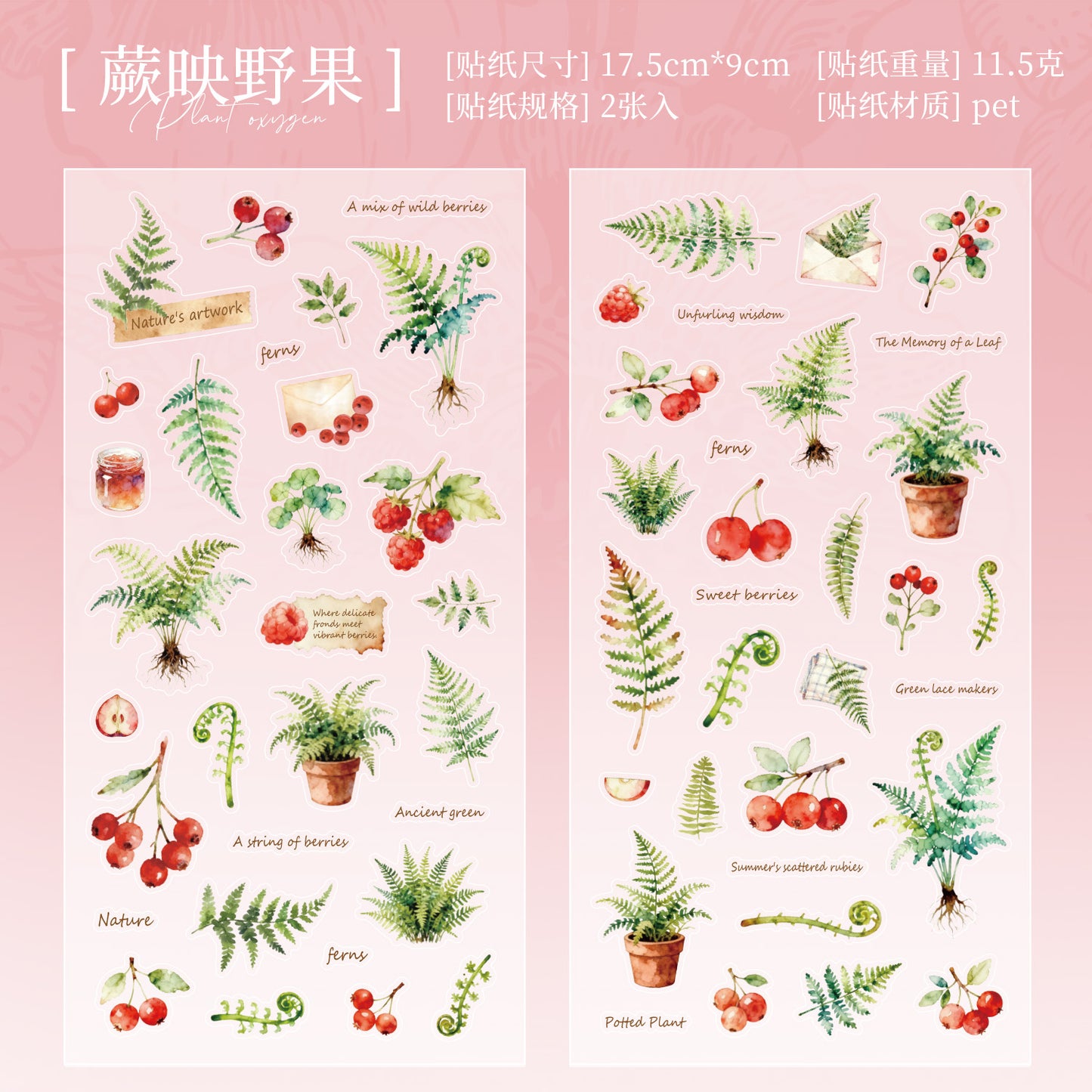 [2601-124] Plant Oxygen PET Botanical Stickers – “Plants & Oxygen” Collage Set (4 Styles 2 Sheets)