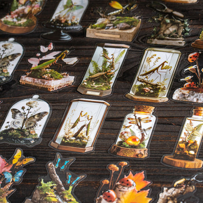[2601-145] Vintage Insect Specimen PET Stickers – Botanical Entomology Collection (4 Designs 10 Sheets)