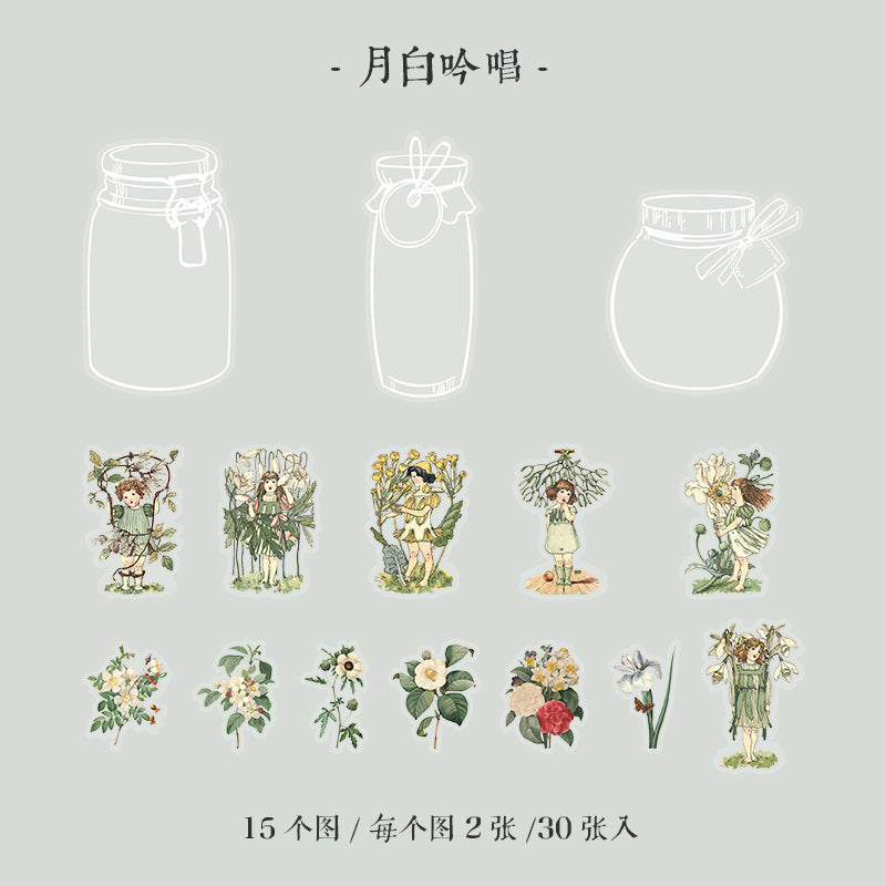 [2601-196] Forest Secret PET Stickers