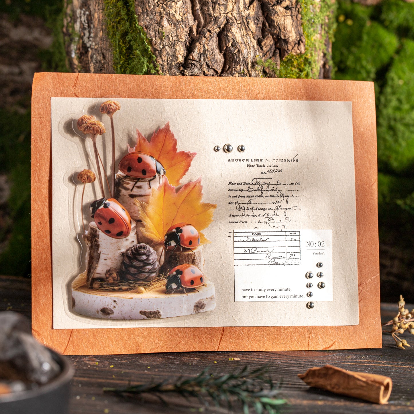 [2601-145] Vintage Insect Specimen PET Stickers – Botanical Entomology Collection (4 Designs 10 Sheets)