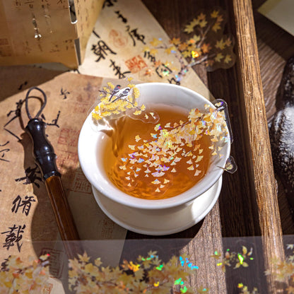 [2601-151] Crystal PET Washi Tape – Elegant Botanical Branches (4 Designs)