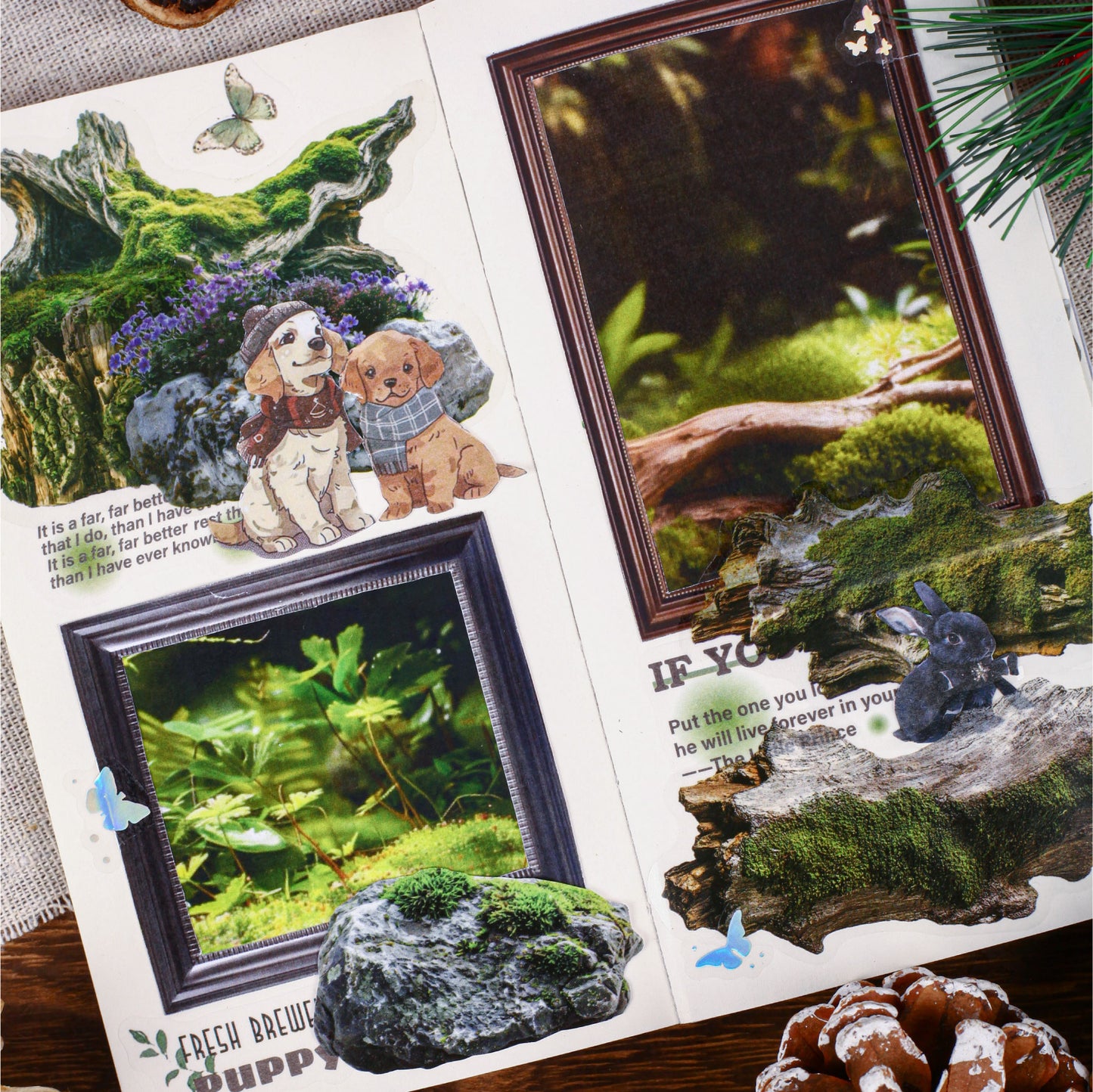 [2601-148] Moss & Stone Botanical Stickers – Nature Collage Journal Pack (6 Designs)