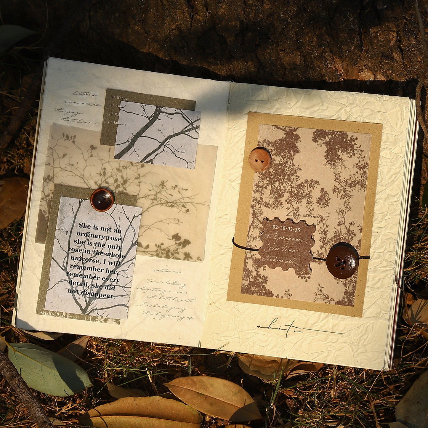 [2601-136] Botanical Texture Paper – Nature Collage Journaling Backgrounds (6 Designs)