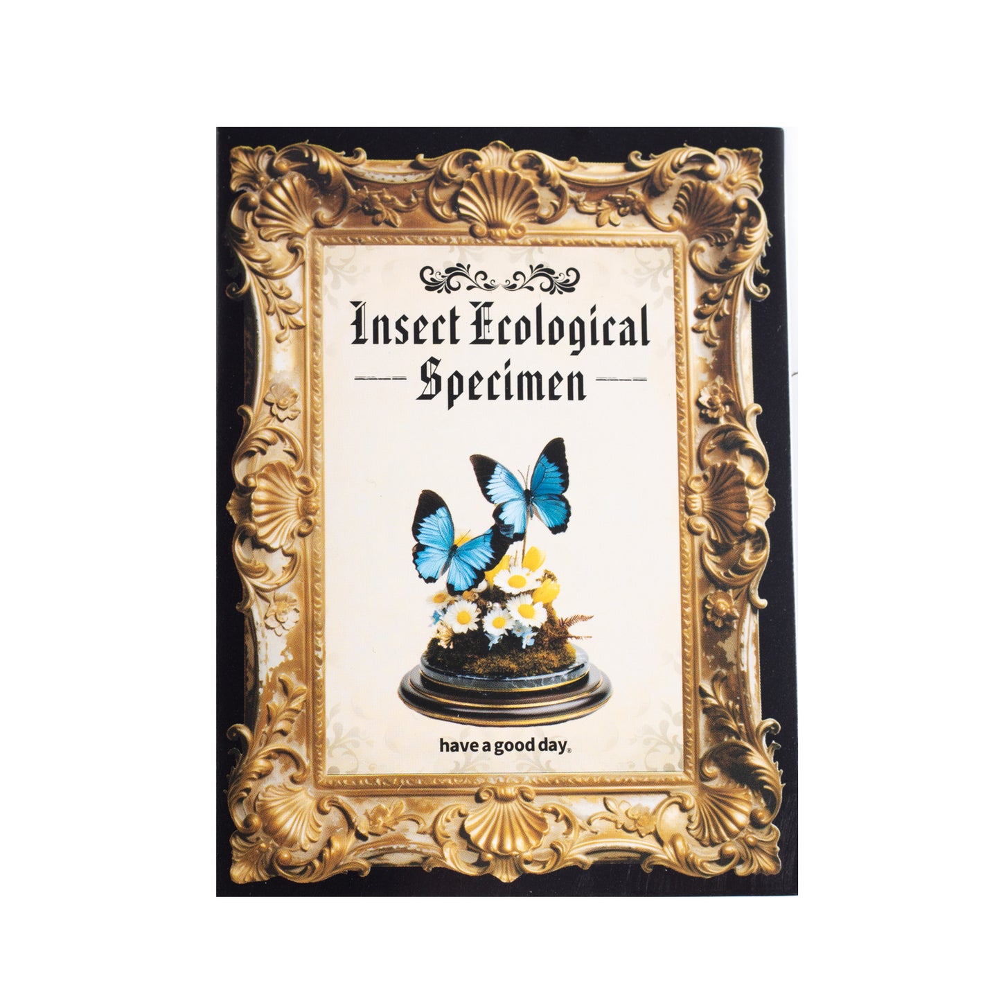 [2601-145] Vintage Insect Specimen PET Stickers – Botanical Entomology Collection (4 Designs 10 Sheets)