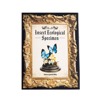 [2601-145] Vintage Insect Specimen PET Stickers – Botanical Entomology Collection (4 Designs 10 Sheets)