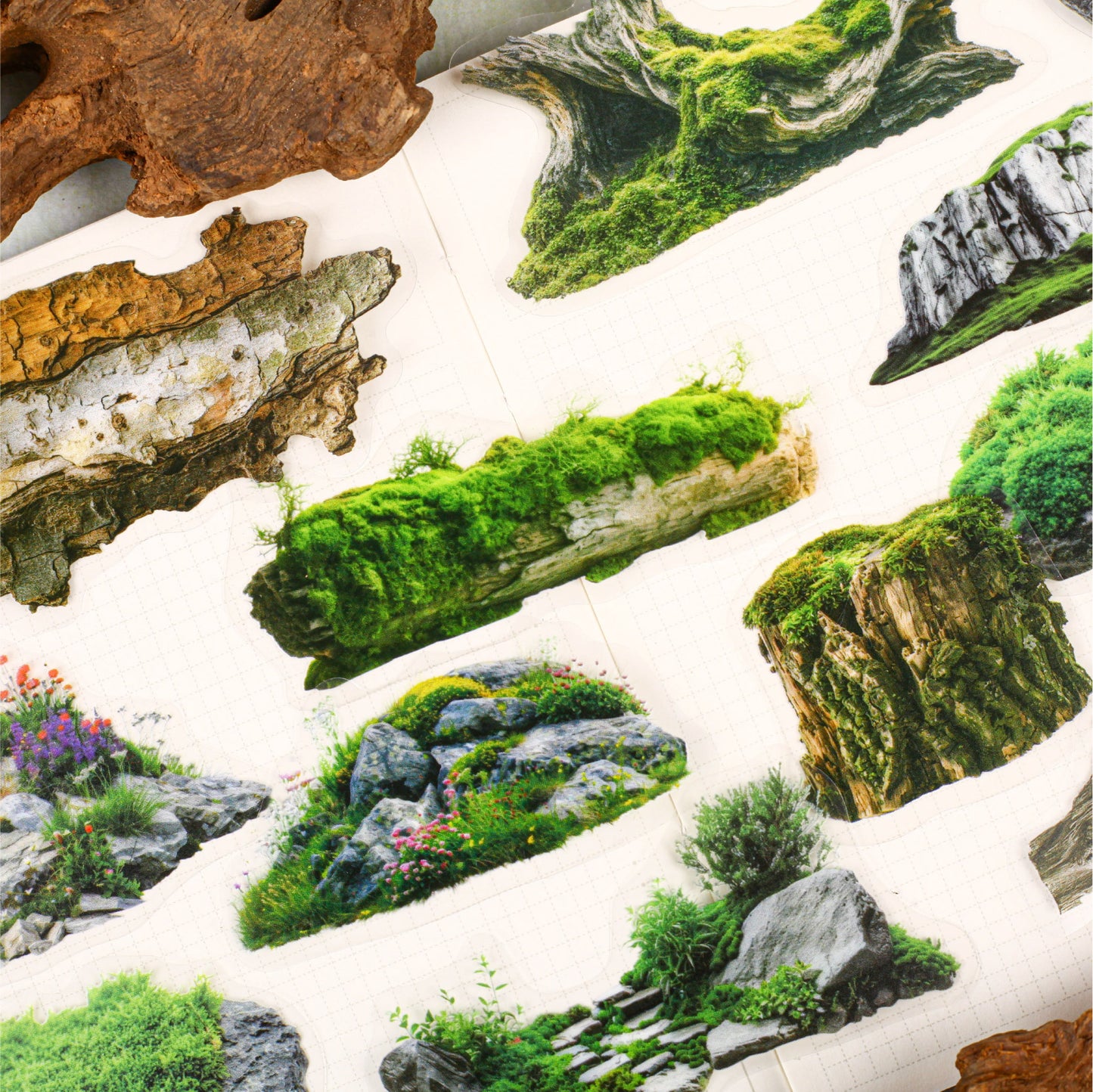 [2601-148] Moss & Stone Botanical Stickers – Nature Collage Journal Pack (6 Designs)