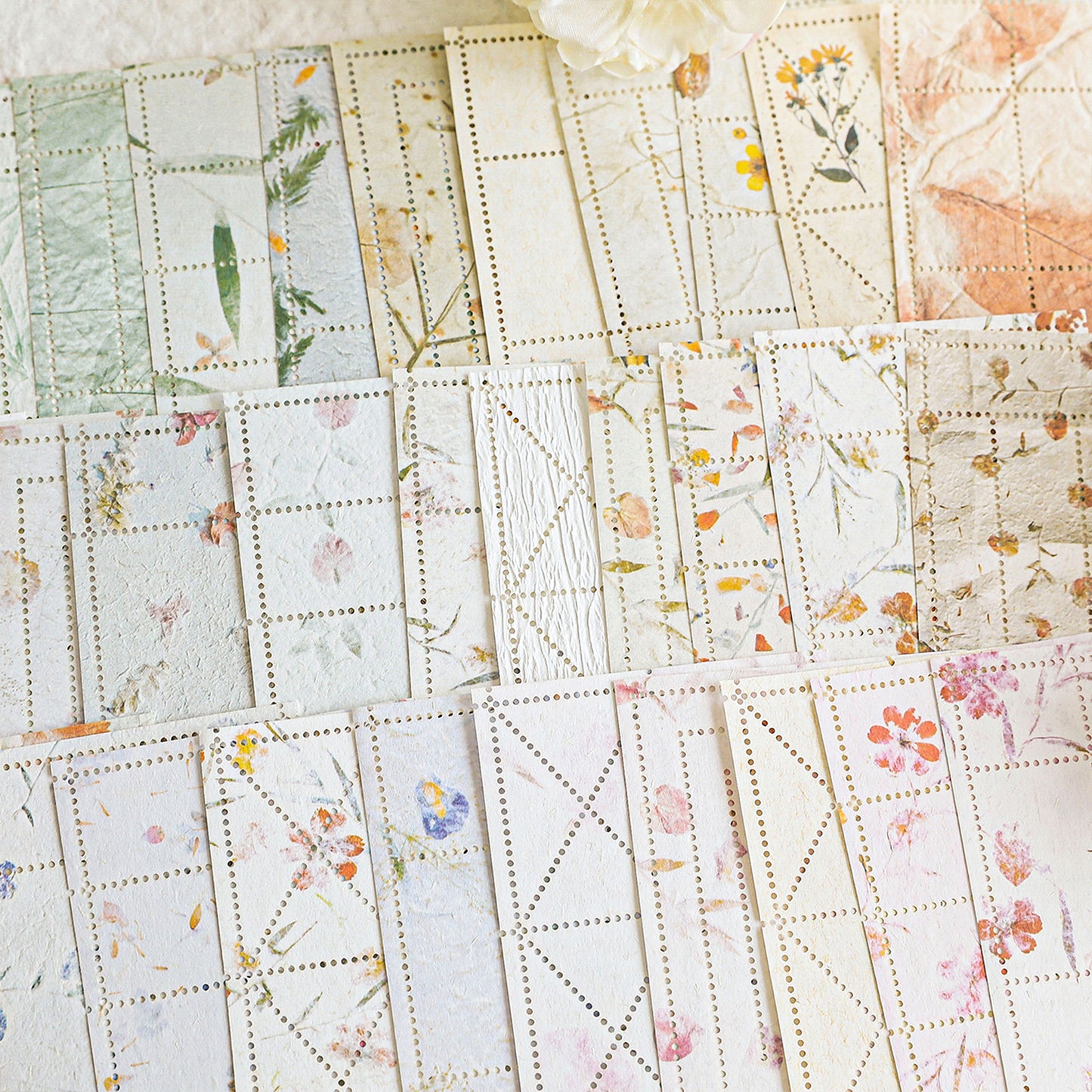 [2601-209] Vintage Botanical Journal Paper Set