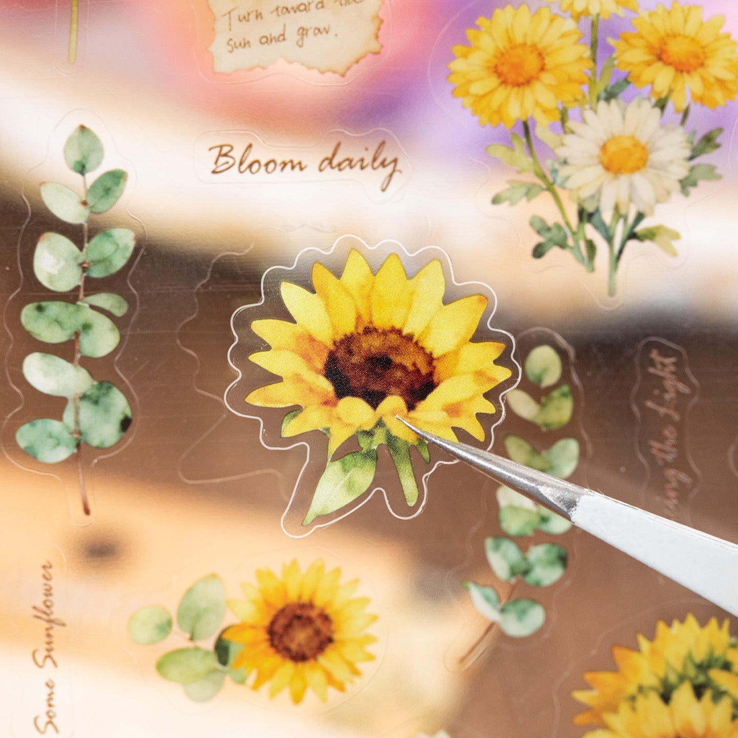 [2601-124] Plant Oxygen PET Botanical Stickers – “Plants & Oxygen” Collage Set (4 Styles 2 Sheets)