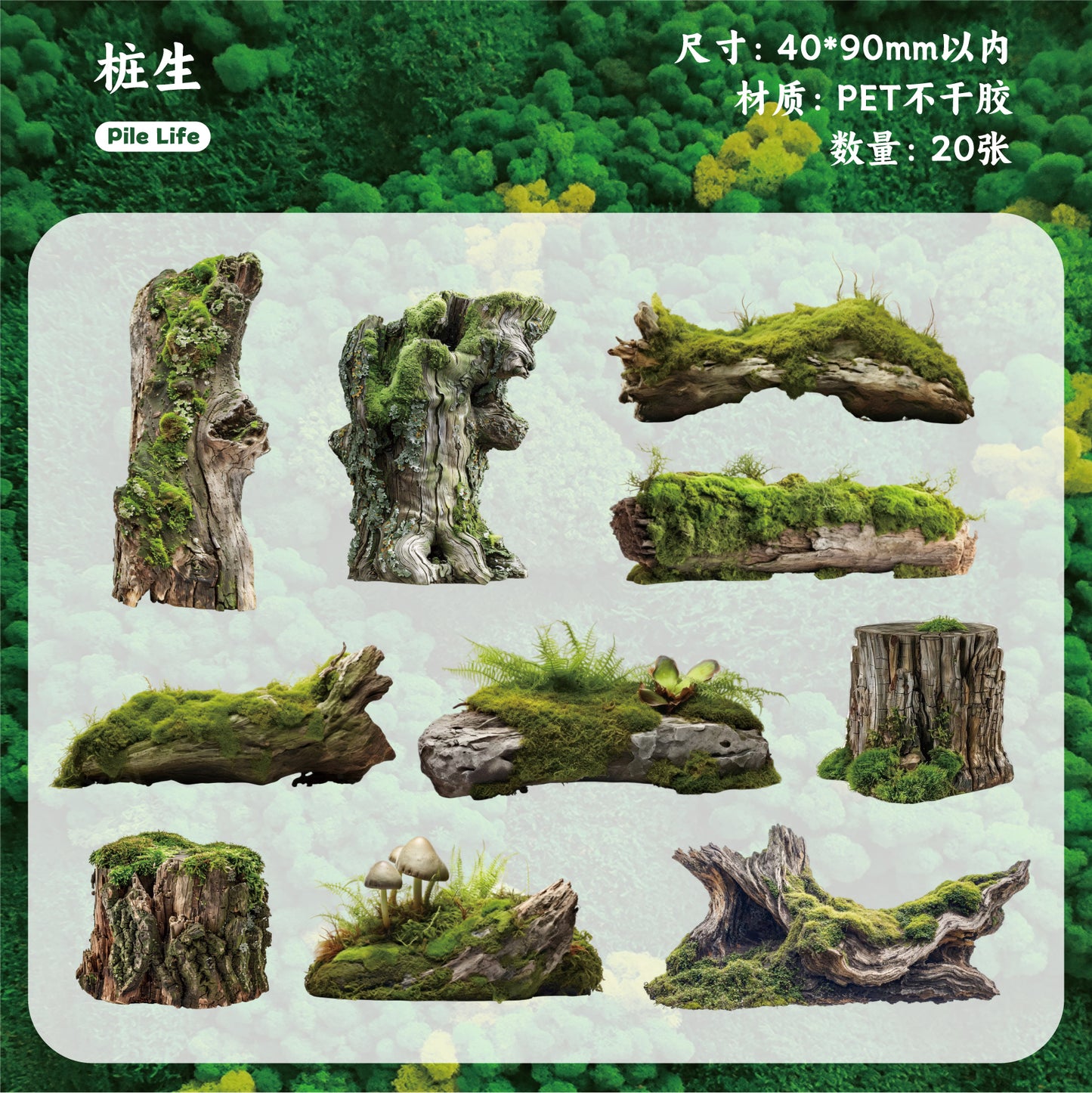 [2601-148] Moss & Stone Botanical Stickers – Nature Collage Journal Pack (6 Designs)