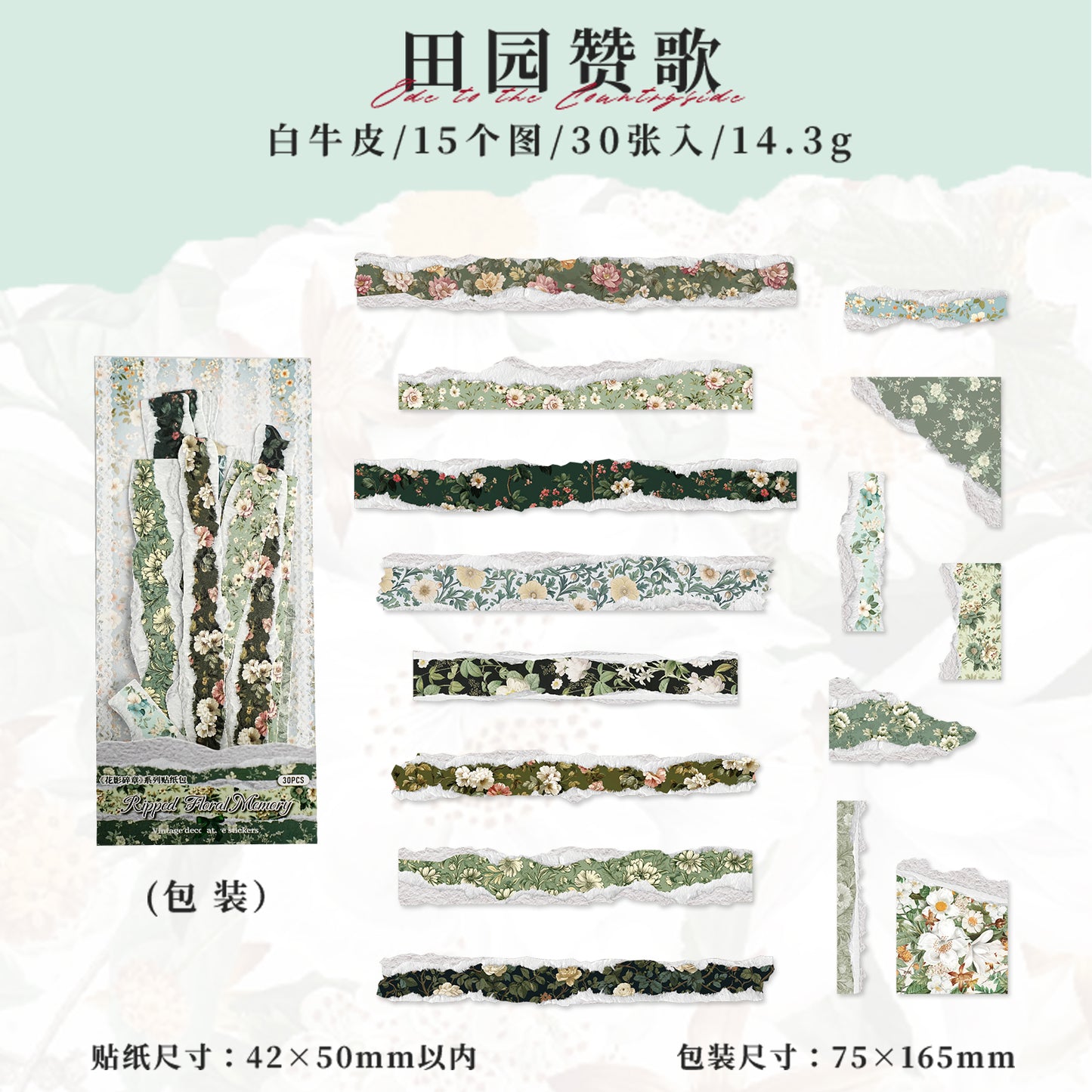 [2601-121] Vintage Floral Kraft Paper Stickers – Torn Edge Collage Strips (6 Designs)