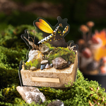 [2601-145] Vintage Insect Specimen PET Stickers – Botanical Entomology Collection (4 Designs 10 Sheets)