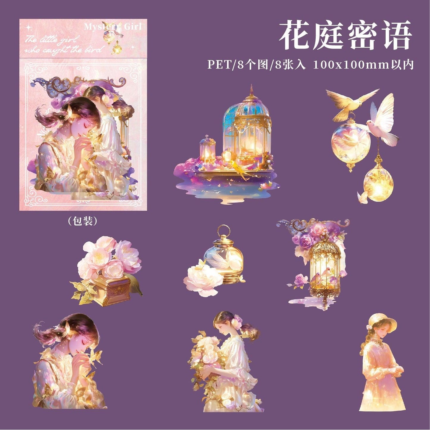 1195 PET Sticker Pack Secret Girl Series - Memo Journals