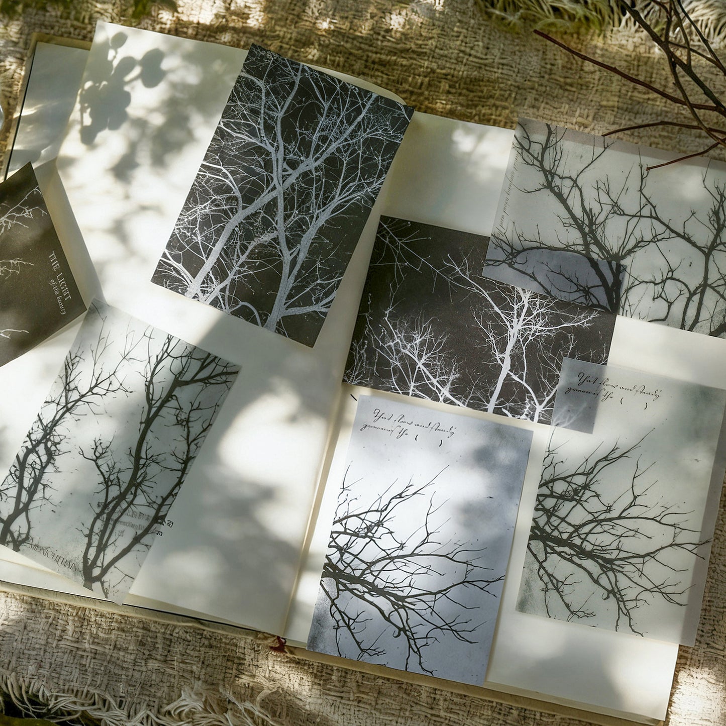 [2601-136] Botanical Texture Paper – Nature Collage Journaling Backgrounds (6 Designs)