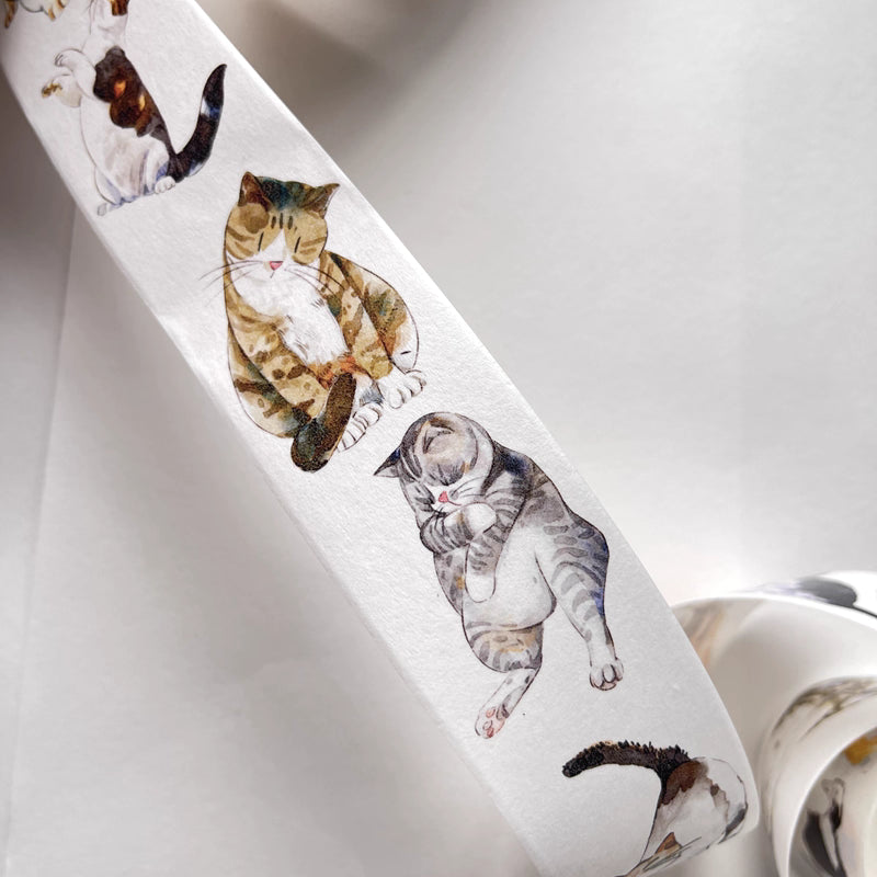 3077 A20 Meow | Original Hand-Drawn Cat Washi Tape / PET / Matte for Journaling
