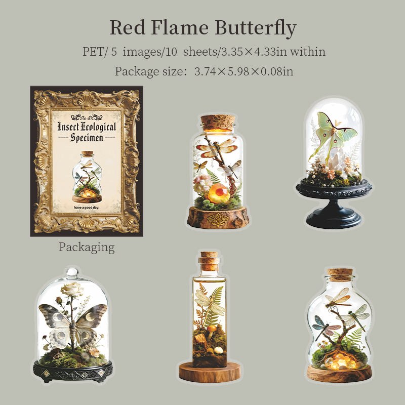 [2601-145] Vintage Insect Specimen PET Stickers – Botanical Entomology Collection (4 Designs 10 Sheets)