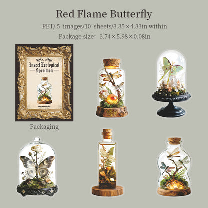 [2601-145] Vintage Insect Specimen PET Stickers – Botanical Entomology Collection (4 Designs 10 Sheets)