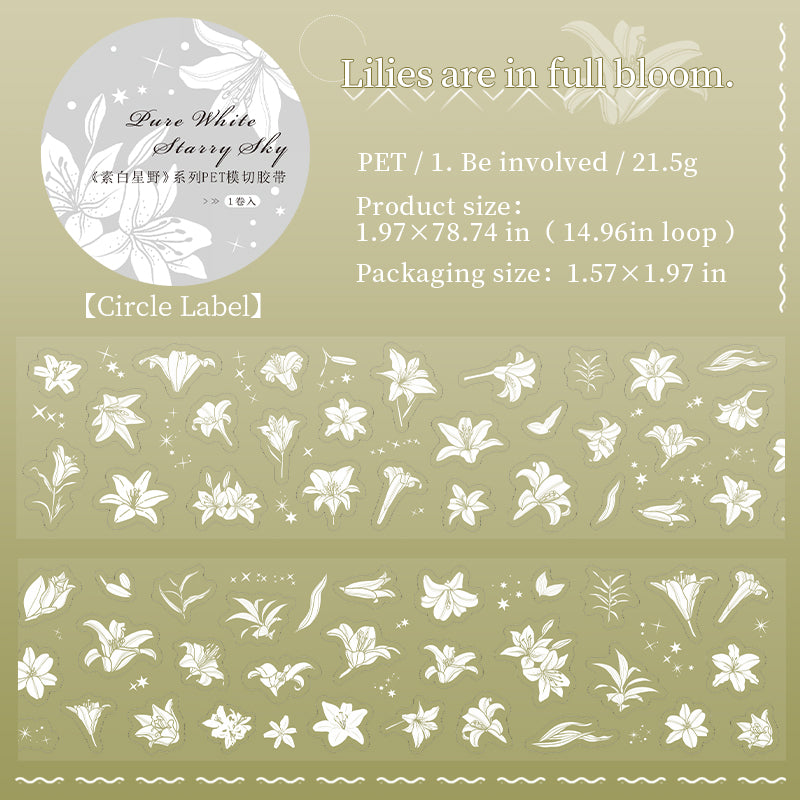 [2603-035] European PET Die Cut Collage Tape 6 Styles