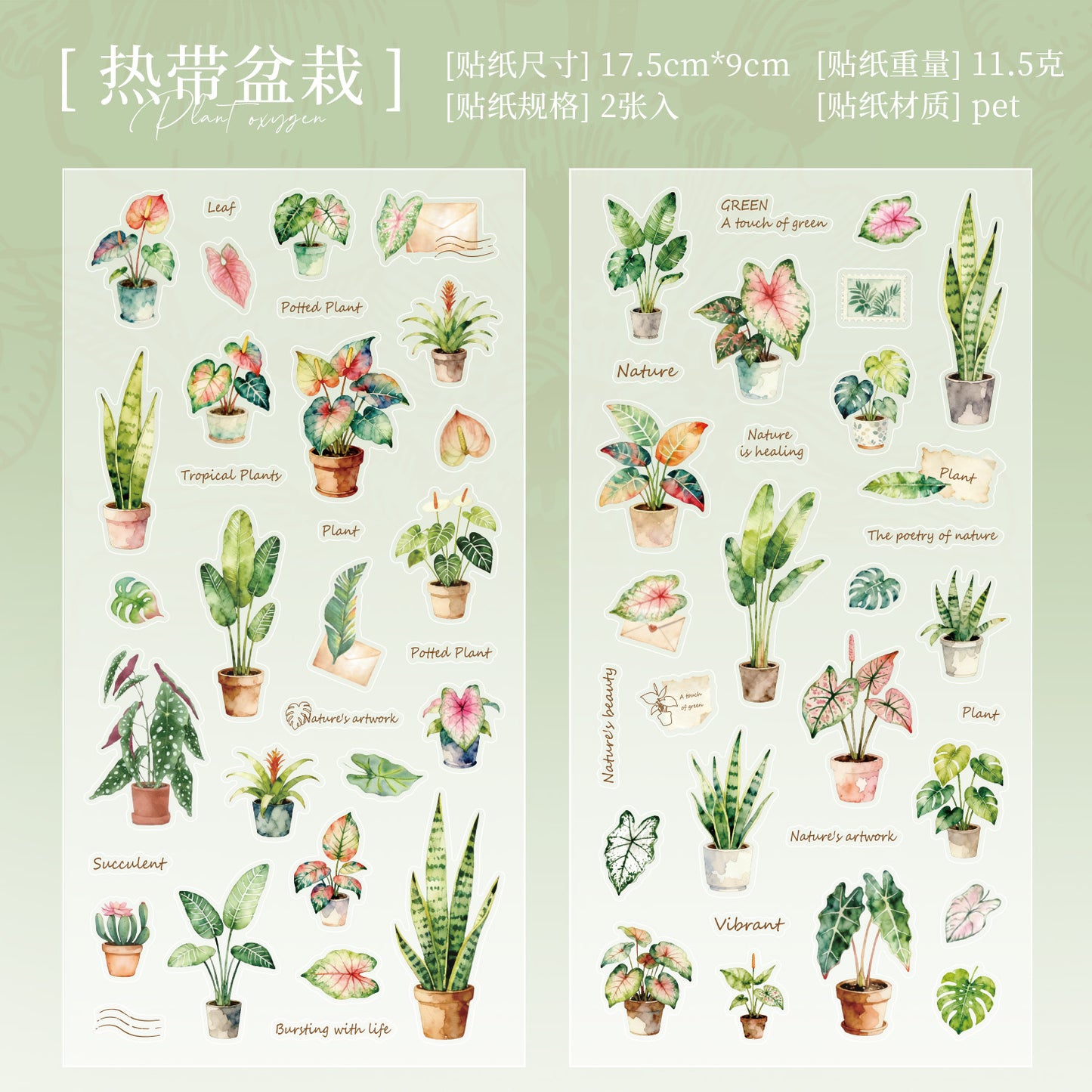 [2601-124] Plant Oxygen PET Botanical Stickers – “Plants & Oxygen” Collage Set (4 Styles 2 Sheets)