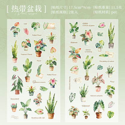 [2601-124] Plant Oxygen PET Botanical Stickers – “Plants & Oxygen” Collage Set (4 Styles 2 Sheets)