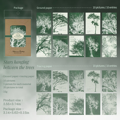 [2601-136] Botanical Texture Paper – Nature Collage Journaling Backgrounds (6 Designs)