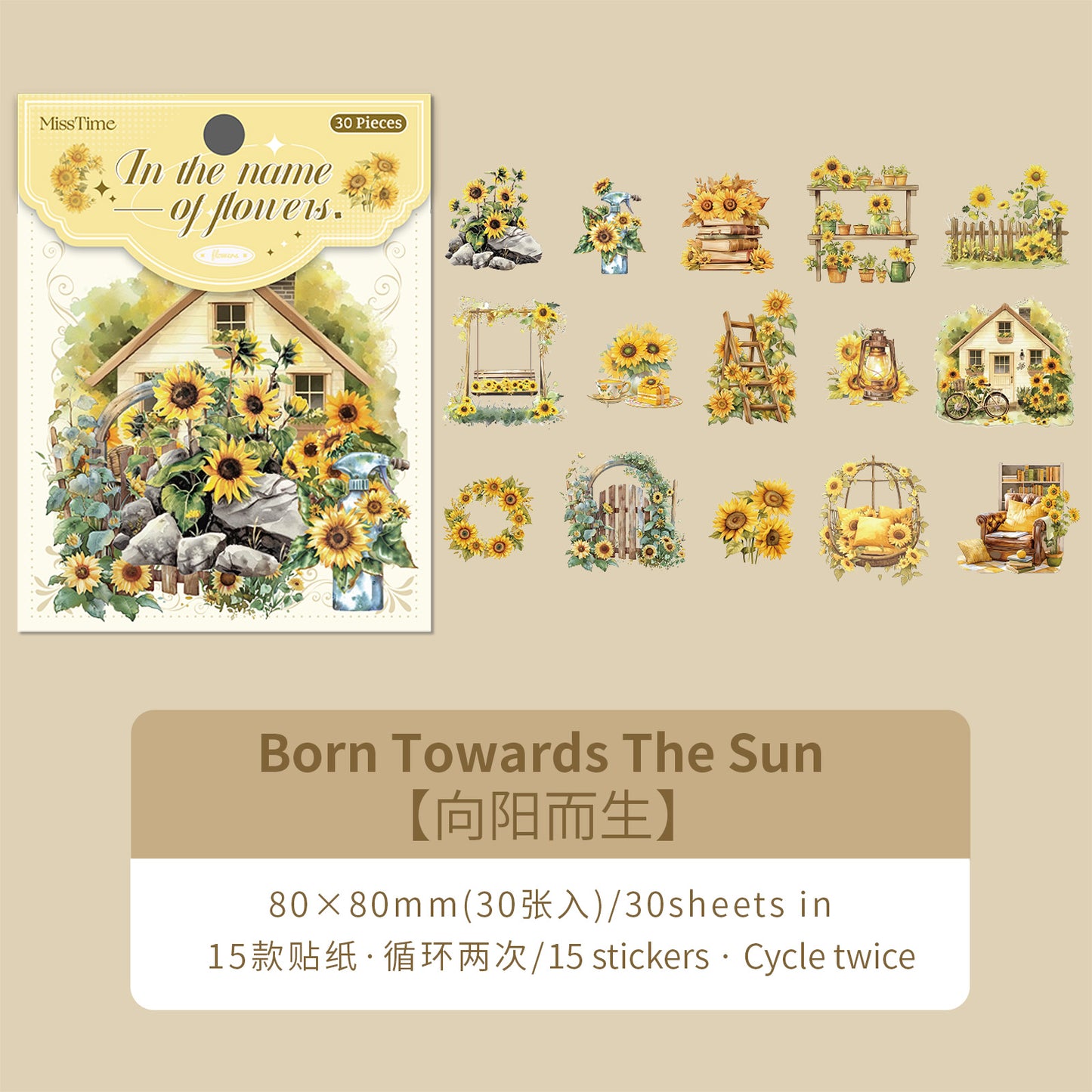 [2602-028] Floral Scene PET Collage Stickers