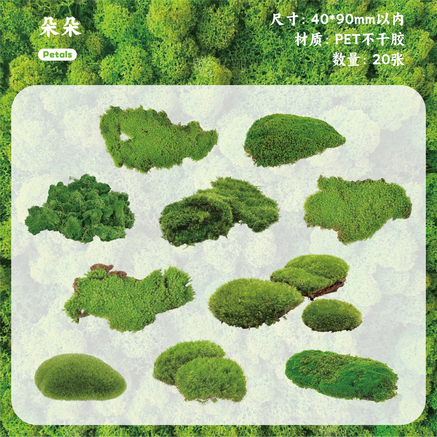 [2601-148] Moss & Stone Botanical Stickers – Nature Collage Journal Pack (6 Designs)